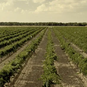 Una escapada con encanto, buen vino y mucho relax, ¡descúbrela!