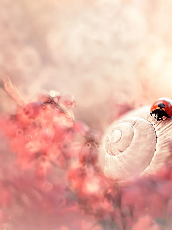 Esta fotógrafa crea universos de fantasía en donde nos gustaría vivir