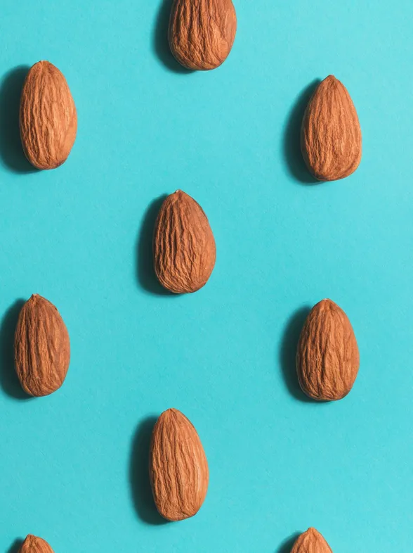 Superfood Nüsse: Darum sind Walnüsse, Erdnüsse & Co. so gesund