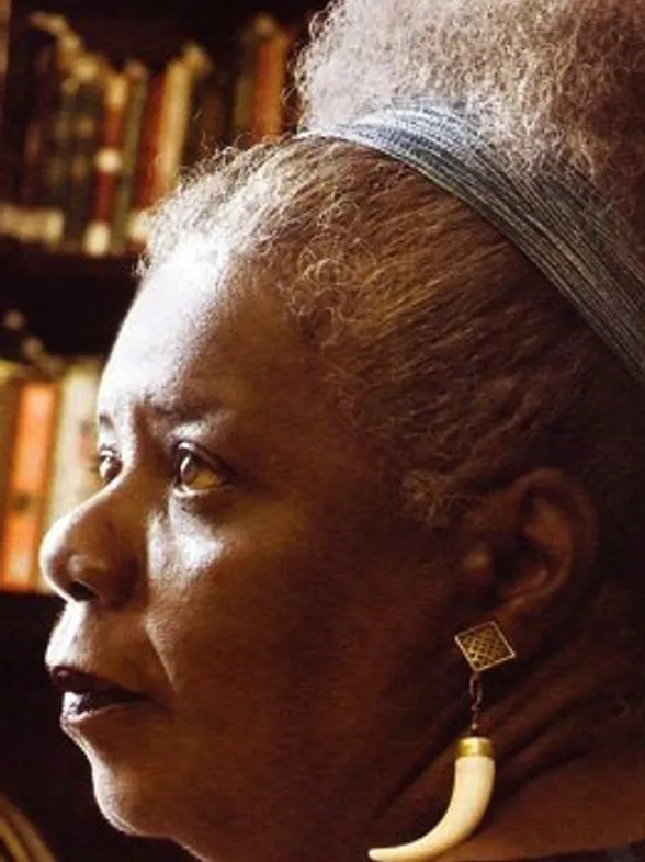 15 autoras negras da literatura brasileira