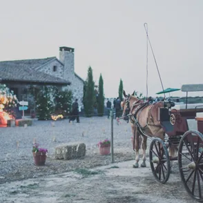 ¿Te gustaría casarte en el campo?