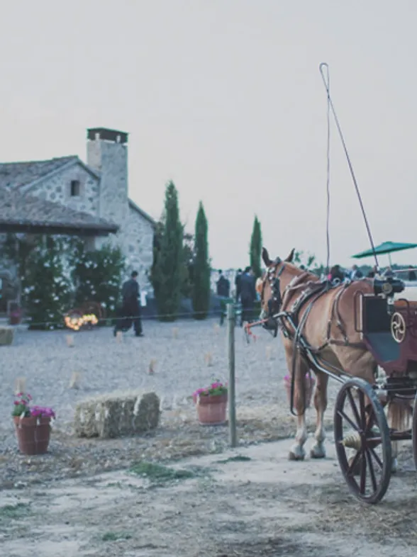 ¿Te gustaría casarte en el campo?