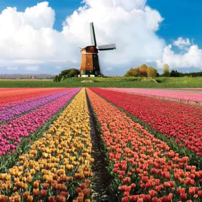 Despedida de soltera en Amsterdam: tres días de diversión asegurada