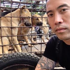 Cet homme a sauvé 1000 chiens du Festival de Yulin où ils devaient être mangés