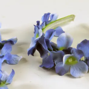 ¡Muy sencillo! Aprende a crear una corona y una diadema de flores para los peinados de tu hija