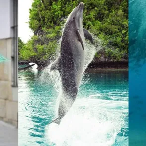 Your Free Monthly Horoscope: Read August's Forecast For Pisces!