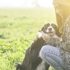 ​30 imágenes de perros ya adultos siendo adoptados que encogerán tu corazón