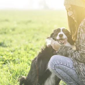 30 imágenes de perros ya adultos siendo adoptados que encogerán tu corazón