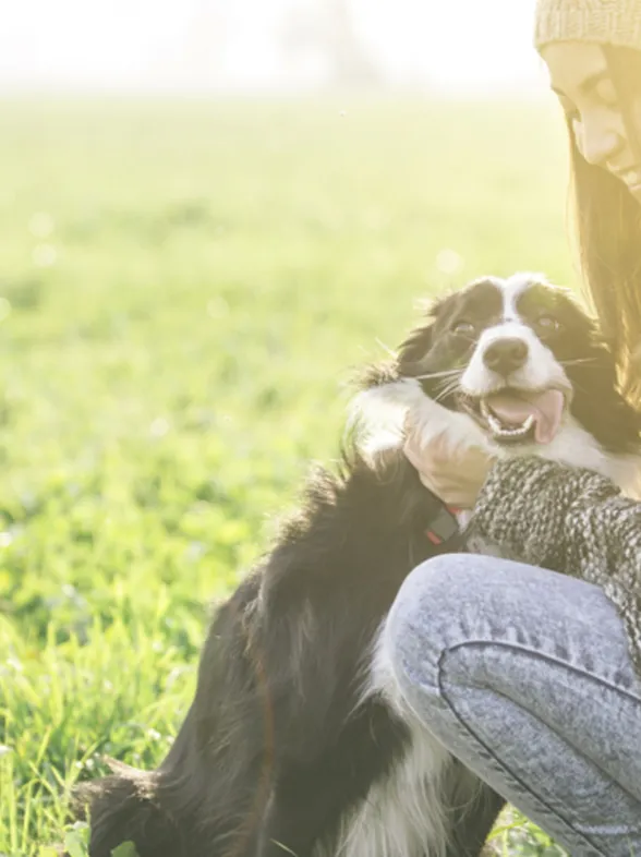 30 imágenes de perros ya adultos siendo adoptados que encogerán tu corazón