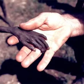 20 impactantes imágenes que consiguen remover nuestra conciencia