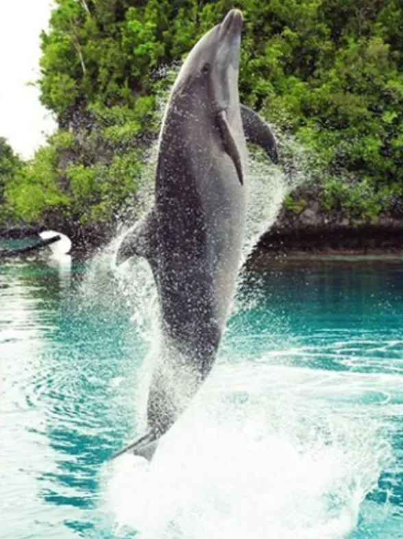 Your Free Monthly Horoscope: Read September's Forecast For Pisces!