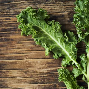 El kale o col rizada: descubre el alimento más sano para este otoño