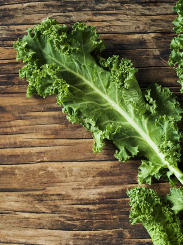 El kale o col rizada: descubre el alimento más sano para este otoño