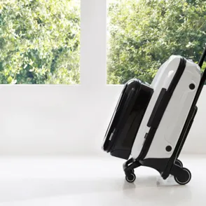 Bugaboo amplía horizontes: del carro de lujo para bebé a la maleta VIP
