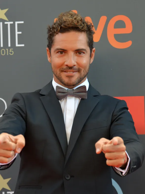 David Bisbal, en el punto de mira por dar de lado a Chenoa