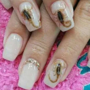 Manicura con escorpiones, la última locura del nail art