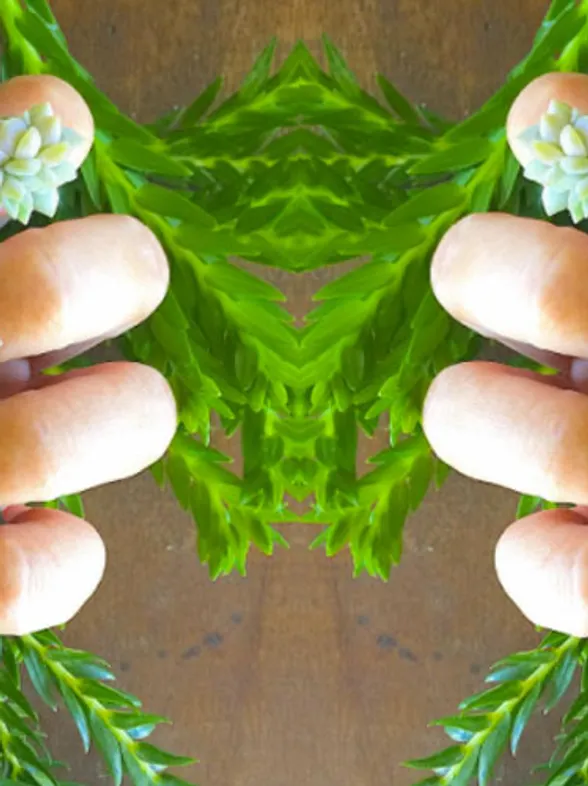 The Botanical Succulent Nail Trend Giving A Whole New Meaning To 'Green Fingers'