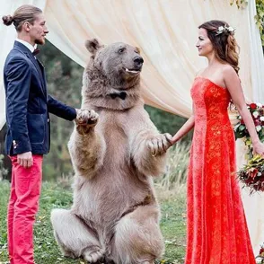¡Inexplicable! Un oso es testigo de una boda