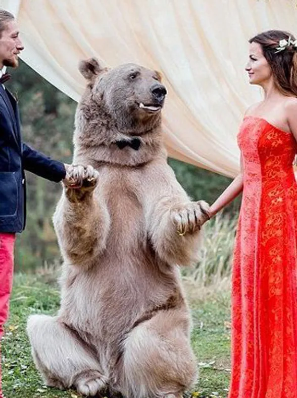 ¡Inexplicable! Un oso es testigo de una boda