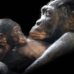 Amor de madre: 16 adorables pequeños junto a sus mamás