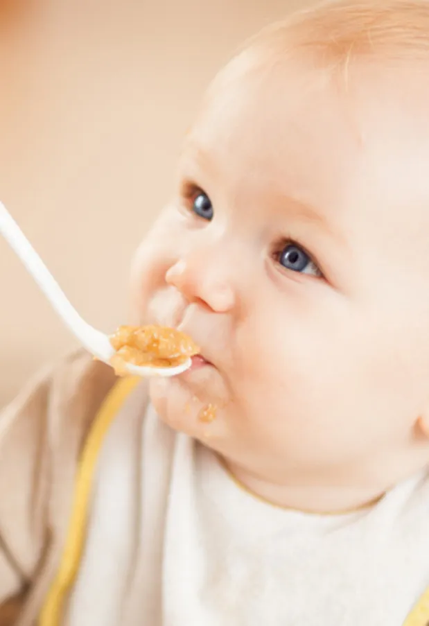Las papillas de cereales son fundamentales en la nutrición del bebé. Descubre su historia