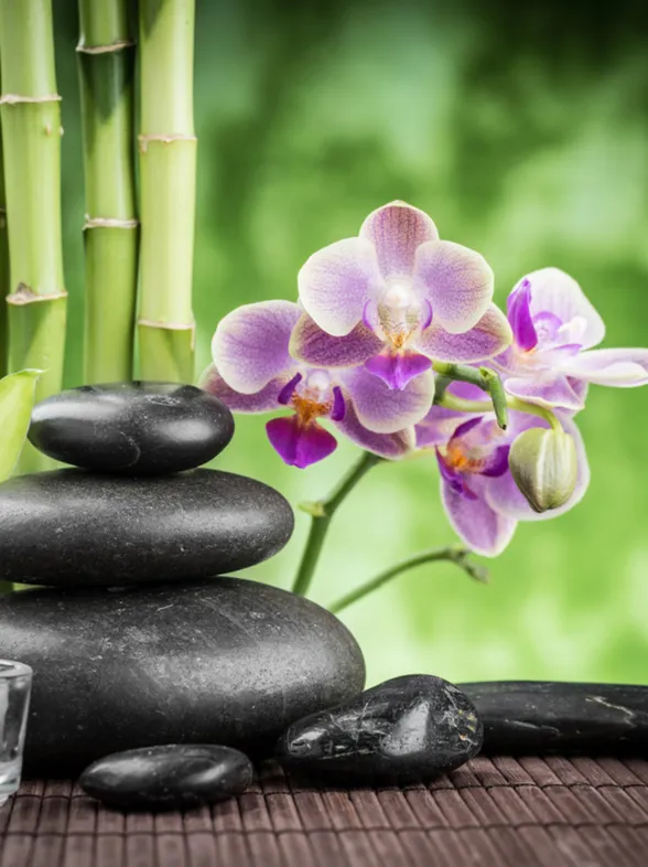 Decoración Feng Shui, deja que la energía fluya