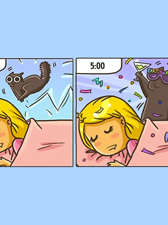 20 Cómics que reflejan cómo cambia nuestra vida al tener un gato
