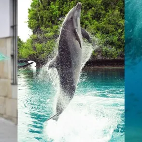 Your Free Monthly Horoscope: Read February's Forecast For Pisces!