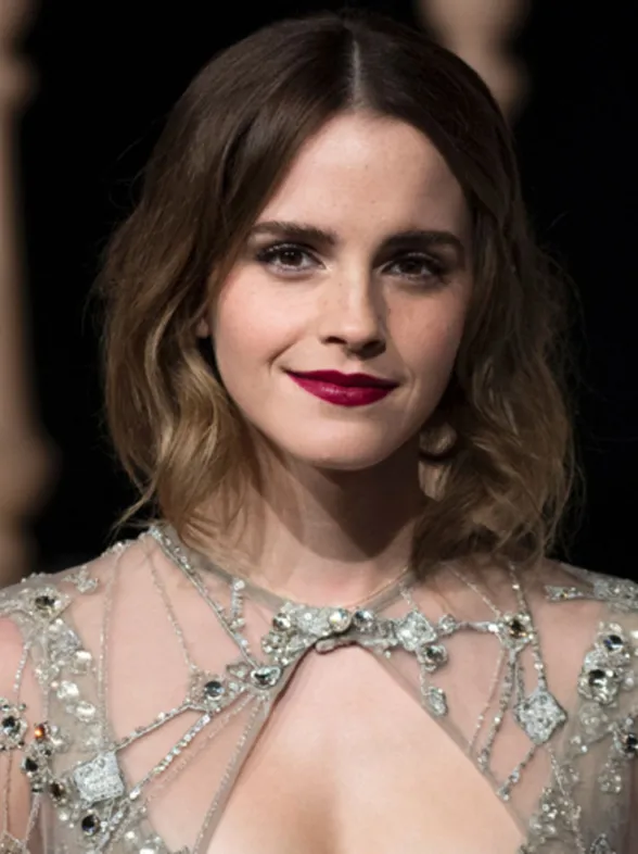 Sombras de ojos para amantes de Harry Potter