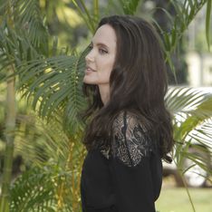 La última de Angelina Jolie: despedir a su propio hermano