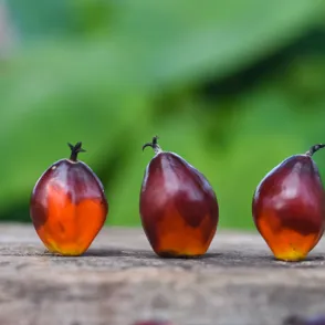Esto es lo que provoca en tu organismo el consumo de aceite de palma