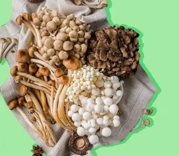 Os surpreendentes benefícios dos cogumelos