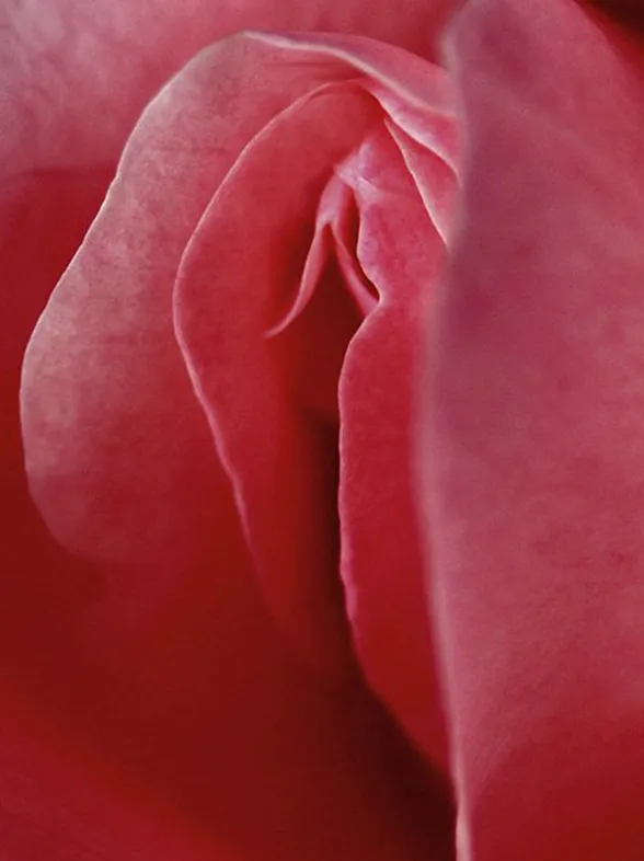 People Are Now Having Facials On Their Vaginas, Or Vagacials