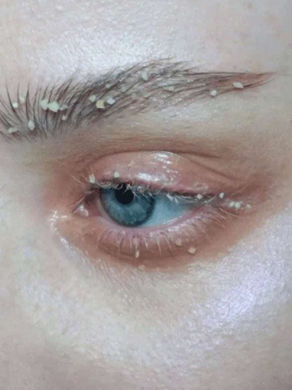 Crumbs! Breadcrumb Brows Are Here And They're Making Us Feel Weird