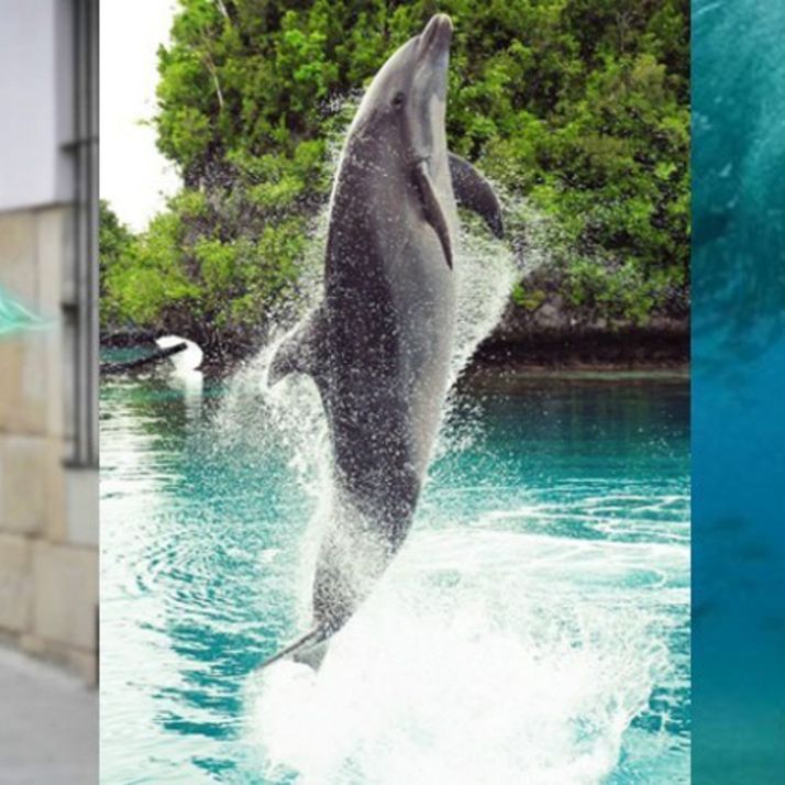 Famous Pisces: Celebrities with Pisces star sign