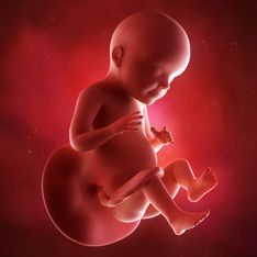 Mon calendrier de grossesse : la 28ème semaine de grossesse (30 SA) - 7ème mois de grossesse