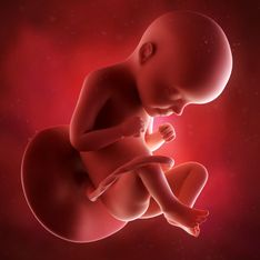 Mon calendrier de grossesse : la 29ème semaine de grossesse (31 SA) - 7ème mois de grossesse