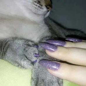Paws Up! You Can Now Get Matching Manicures With Your Pets