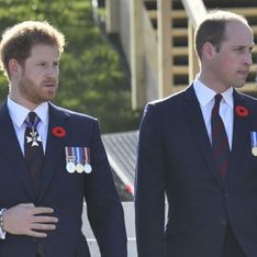Pour la première fois, les princes William et Harry évoquent leur mère ensemble (vidéo)
