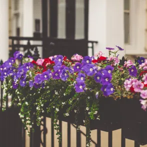 Las 8 plantas que necesitas para presumir de balcón este verano