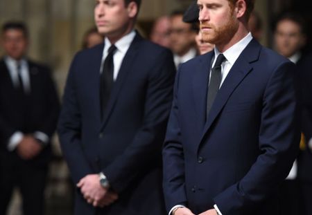 Les princes William et Harry dévoilent de nouveaux souvenirs de famille avec Lady Di (photos)