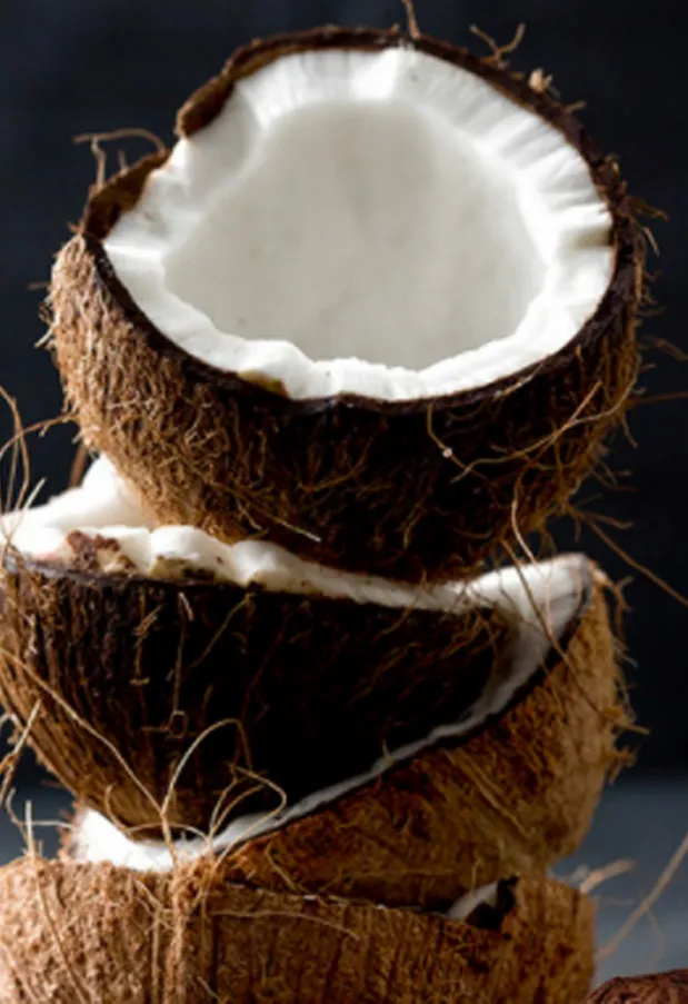 Men On The Internet Are Having Sex With Coconuts And It's Low-key Nuts