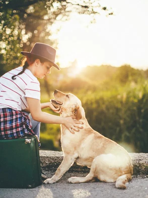 ¡No sin mi mascota! 7 destinos clave para viajar con animales