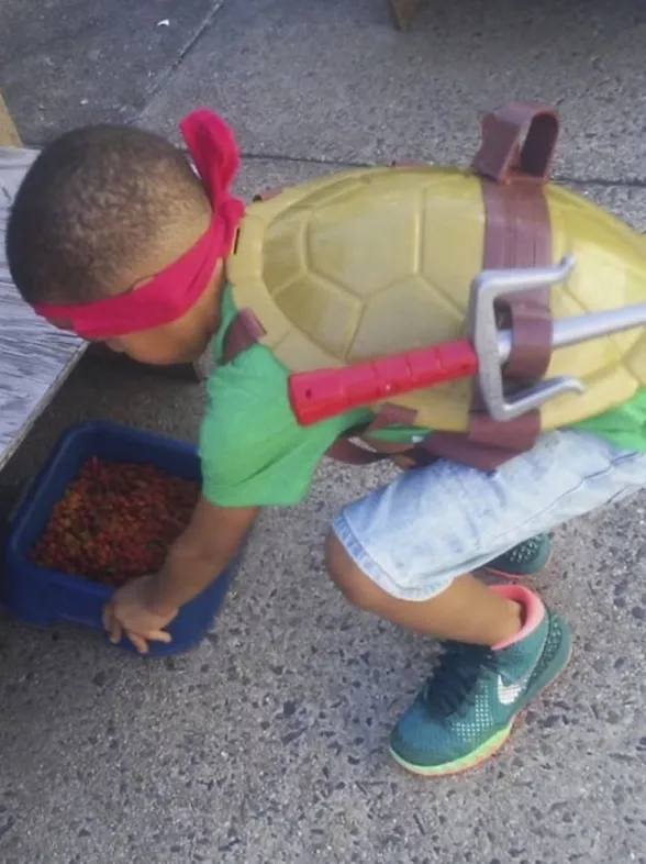 Este niño se viste de superhéroe y salva a los gatos callejeros