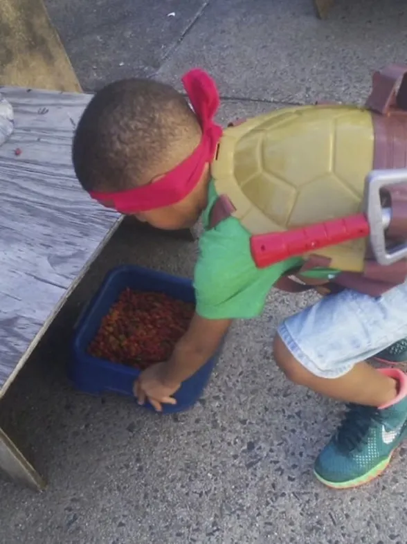 Este niño se viste de superhéroe y salva a los gatos callejeros