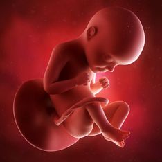 29 settimane di gravidanza: cosa succede alla mamma e al feto nel 7° mese?
