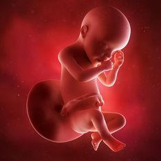 31 settimane di gravidanza: cosa succede alla mamma e al feto all'8° mese?