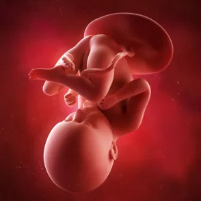 35a semana: noveno mes de embarazo