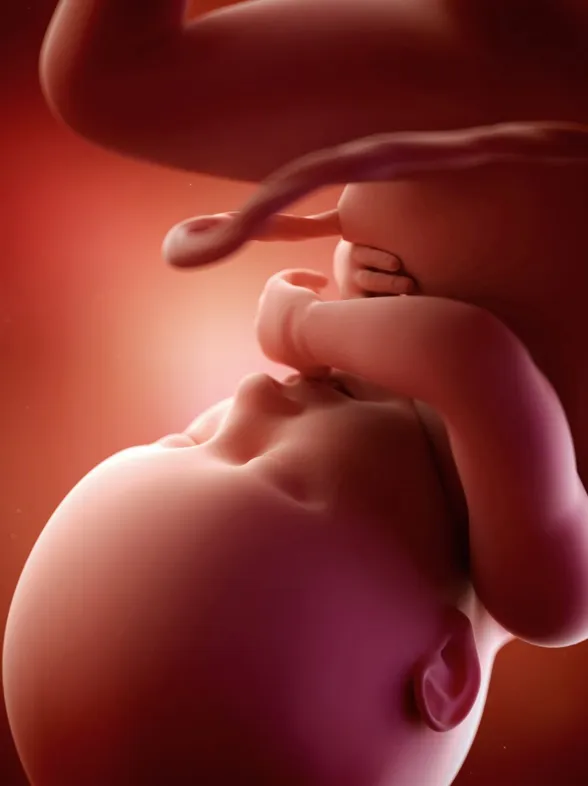 39a semana: noveno mes de embarazo