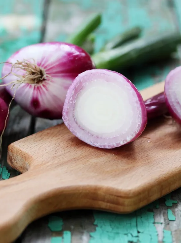 Tipos de cebollas: ¿cómo usarlas en la cocina?